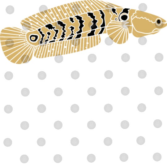 black and gold channa snakehead fish illustrations Digital Files