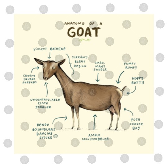 anatomy of a goat greeting card Digital Files
