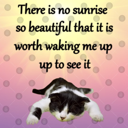 There is no sunrise so beautiful that it is worth Digital Files