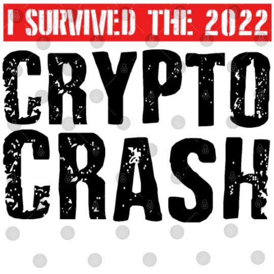 I SURVIVED THE 2022 CRYPTO CRASH Digital Files