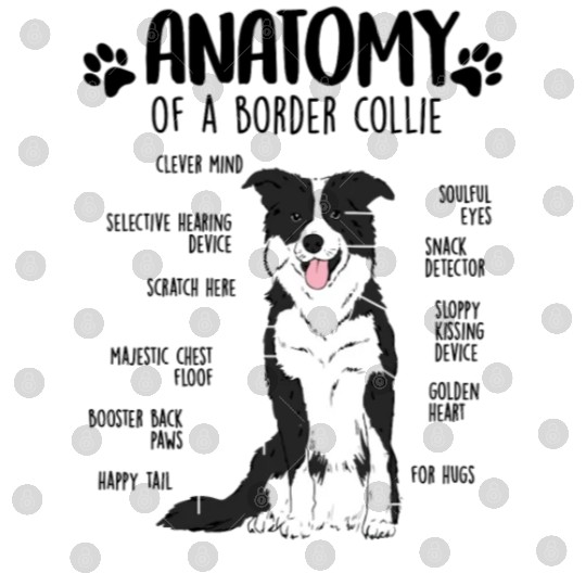 Funny Anatomy Border Collie Dog Lover Digital Files