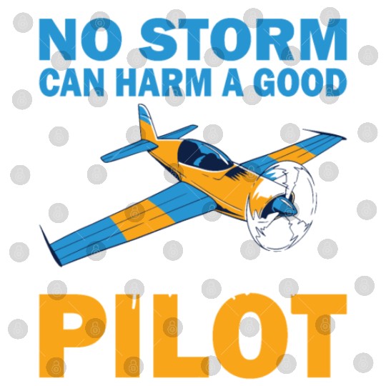 Pilot no storm can harm airplane aviation aircraft Digital Files