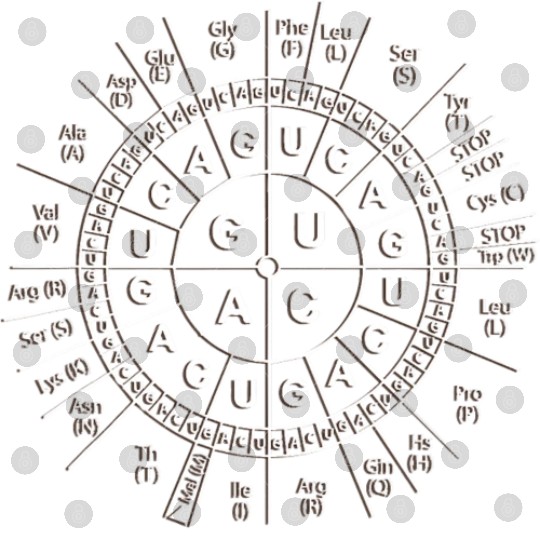 Awesome Biology Genetic Code Sun Digital Files Science