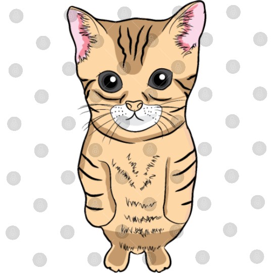 Cute Standing Cat Meme Cute Kitten Standing on Two Digital Files