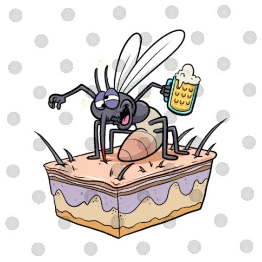 Insect Mosquito Drinking Beer Mosquitoes Digital Files