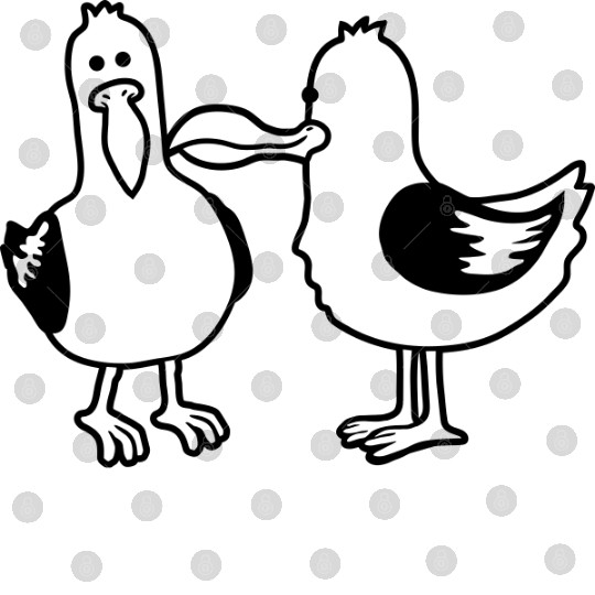 2 funny seagull friends Digital Files