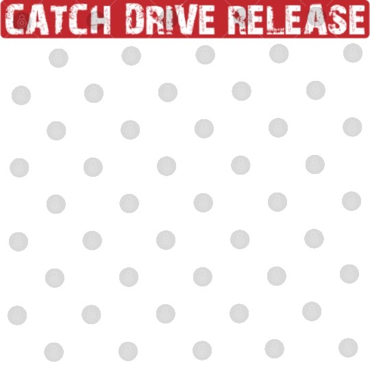 Catch Drive Release Recover 10 Digital Files