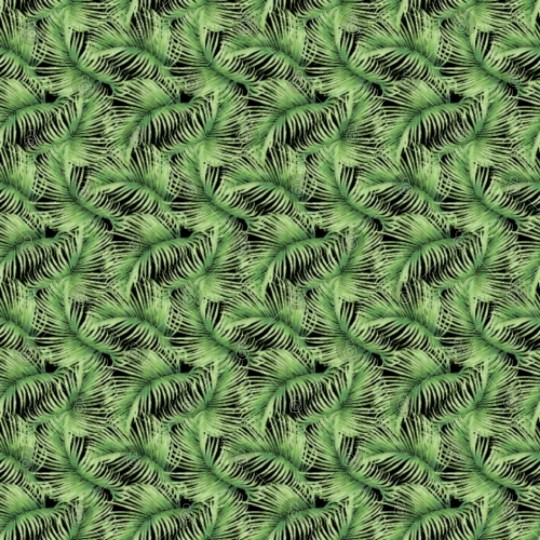 Watercolor Tropical Jungle Palm Leaves Digital Files