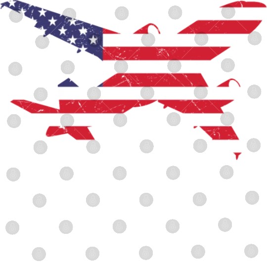 American Flag Airplane Stars And Stripes Digital Files