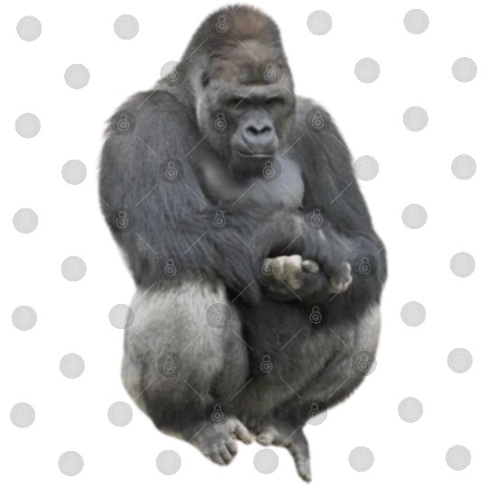 Majestic Gorilla Silhouette Design Digital Files