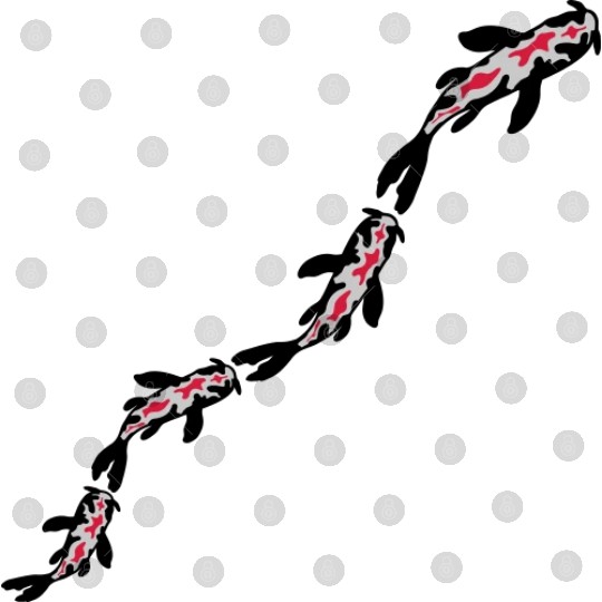 many koi fish nishikigoi Digital Files