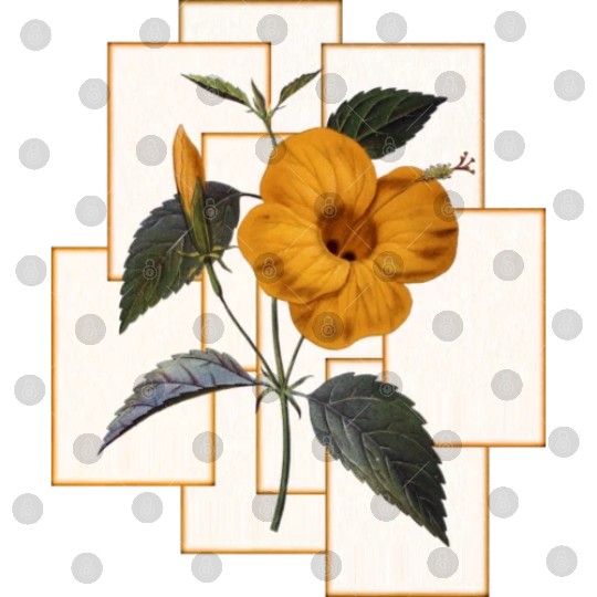 Yellow Hibiscus Flower With Golden Rectangle Digital Files