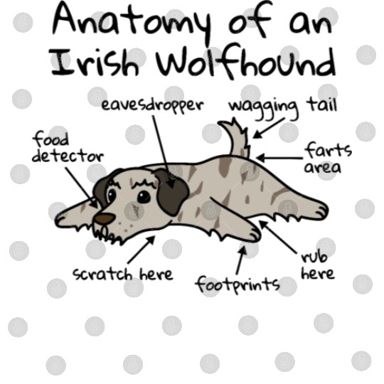 Anatomy Of A Irish Wolfhound Digital Files