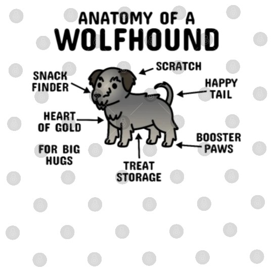 Anatomy Of A Irish Wolfhound Digital Files