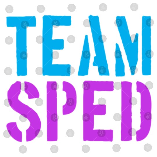 Special Education Teacher Team Sped Digital Files