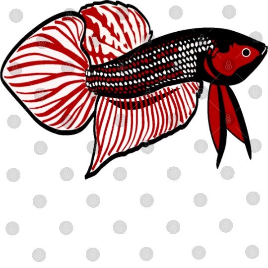 WILD BETTA FISH Digital Files