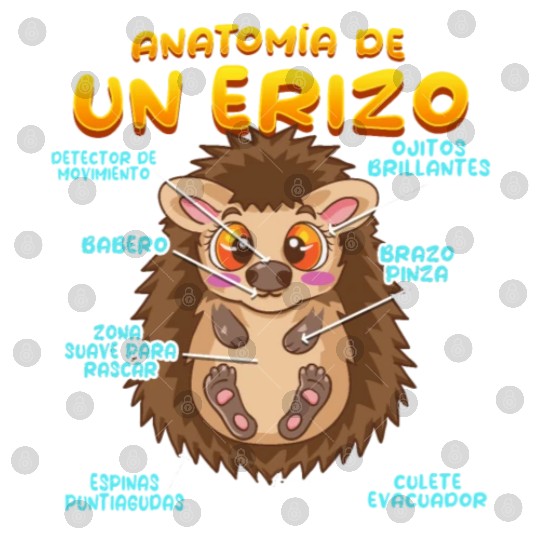 Anatomy Of A Funny Hedgehog Digital Files