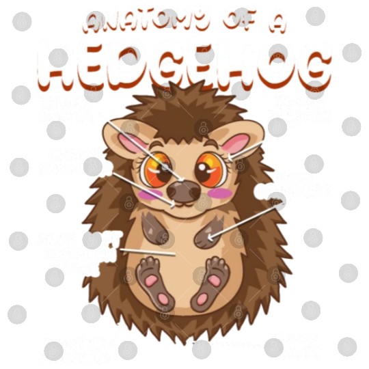 Anatomy Of A Funny Hedgehog Digital Files