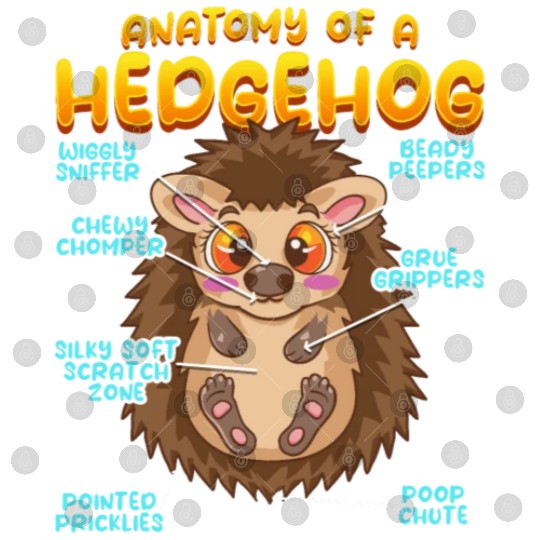 Anatomy Of A Funny Hedgehog Digital Files