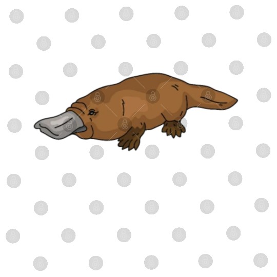 Funny Platypus Lover Digital Files