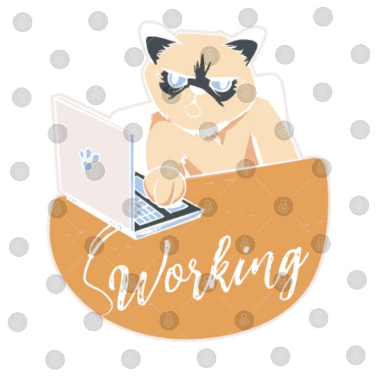Working Cat Busy Cat Owner Professional Worker Digital Files
