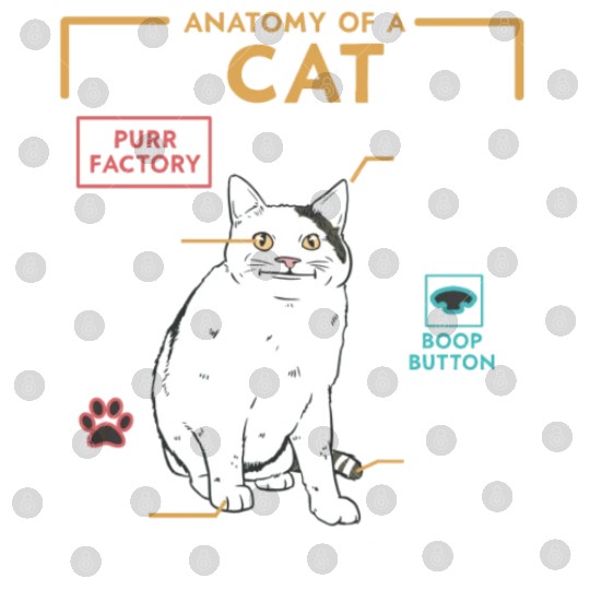 Funny Weird Cat Meme Smiling, Anatomy of A Cat Digital Files
