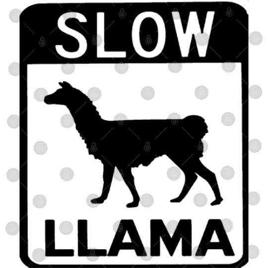 Phish Slow Llama Digital Files