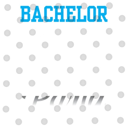Bachelor Party Team Bride Groom Digital Files