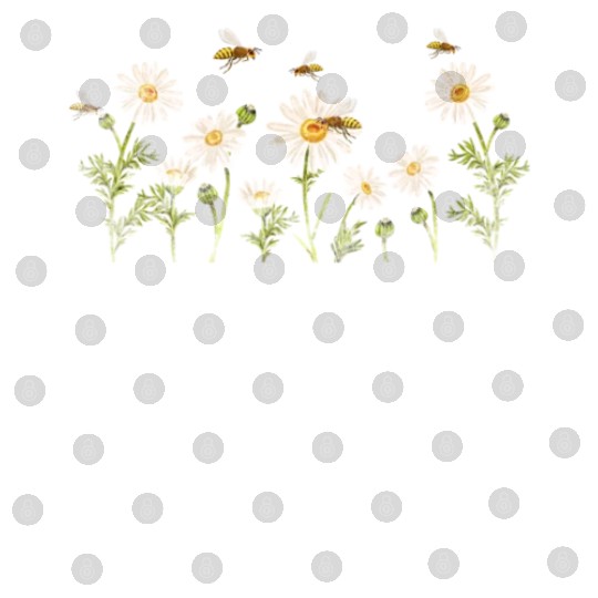 Marguerites Daisy Summer Daisies Flower Garden Digital Files