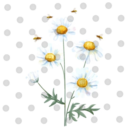 Marguerites Daisy Summer Daisies Flower Garden Digital Files