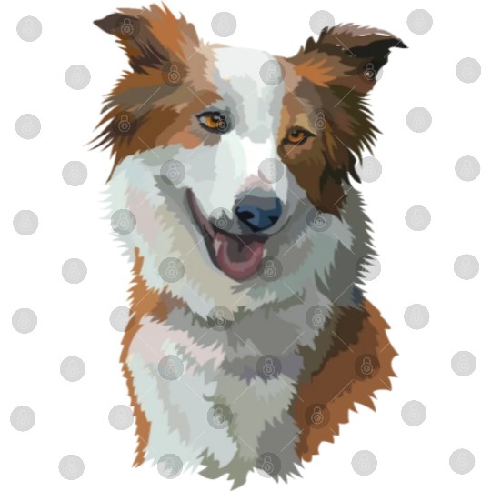 Cute Brown Border Collie Dog Watercolor Painting Digital Files