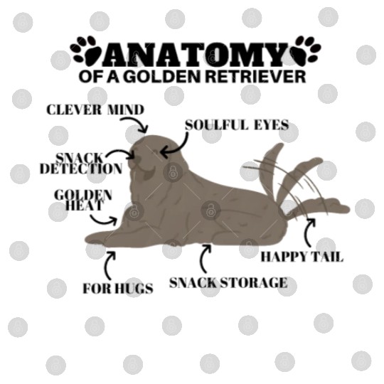 Anatomy of a Golden Retriever FunnyDog Lover Digital Files