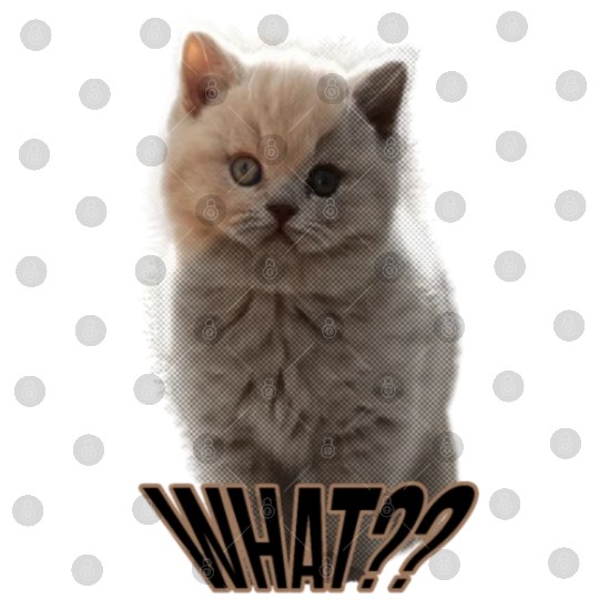 Say what cat Digital Files