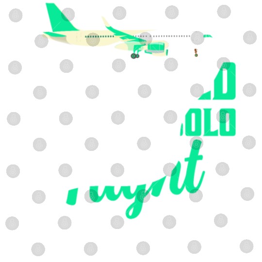 I Survived My First Solo Flight Pilot Digital Files