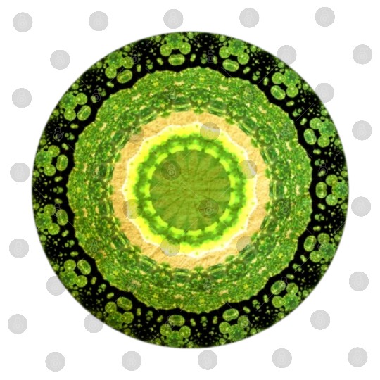 Green Yellow Sun Digital Files