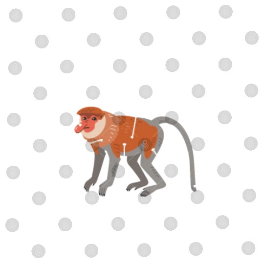 Anatomy Of A Proboscis Monkey, Funny Meme Animal Digital Files