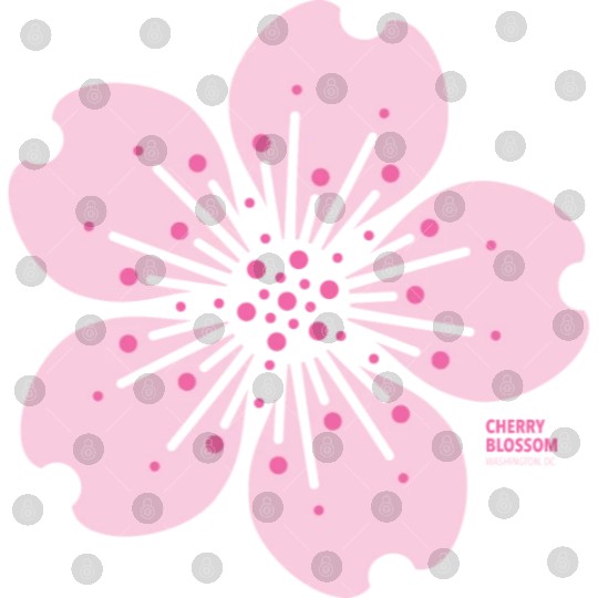 2022 Cherry Blossom Digital Files