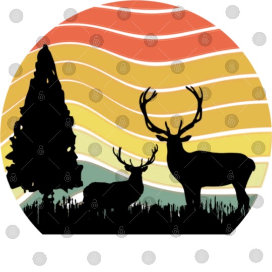 Sunset sunrise nature deer in the zoo Digital Files