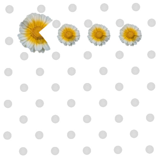 Marguerites Daisy Summer Daisies Flower Garden Digital Files