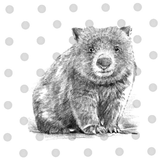 Realistic wombat handrawn Digital Files
