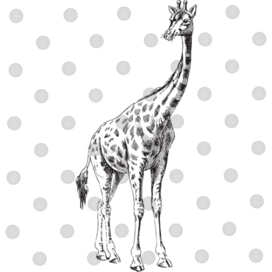 Giraffe Digital Files