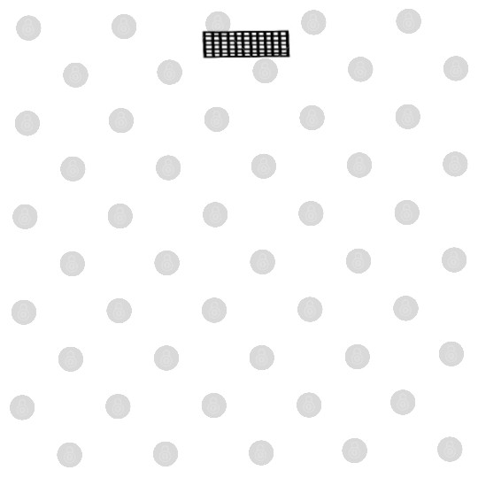 The mighty Queen of the bee farm Digital Files