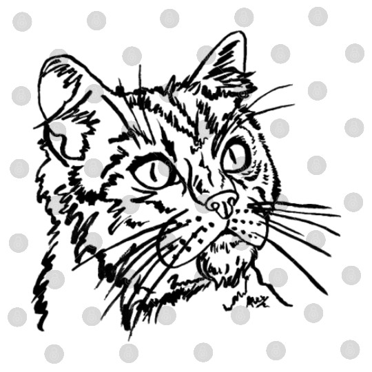 Cat face Digital Files