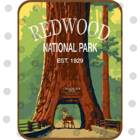 redwood Digital Files