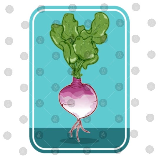 Turnip Digital Files