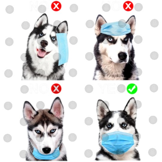 Husky Wear Face Mask Right Funny Dog Lover Digital Files