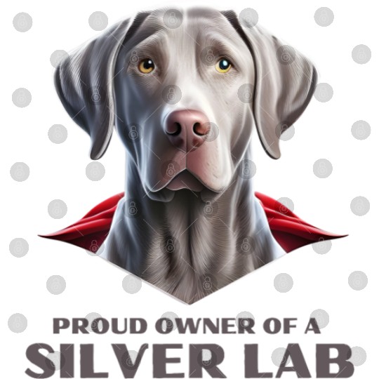 Silver labrador | Proud owner of a Silver lab Digital Files