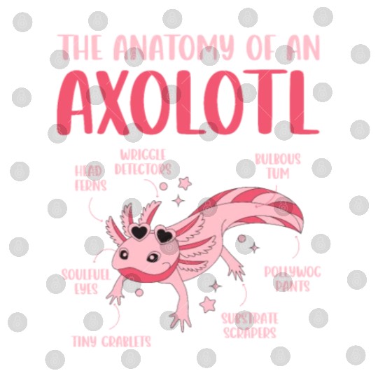 Anatomy Of an Axolotl Sweet Axolotl Explanation Digital Files