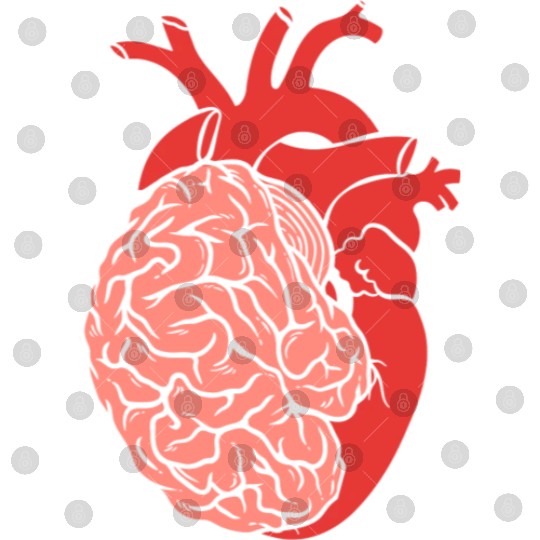 Half Brain Half Heart Organ Anatomy Science Digital Files