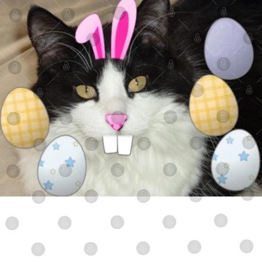 Easter Bunny Cat Face Decor Digital Files